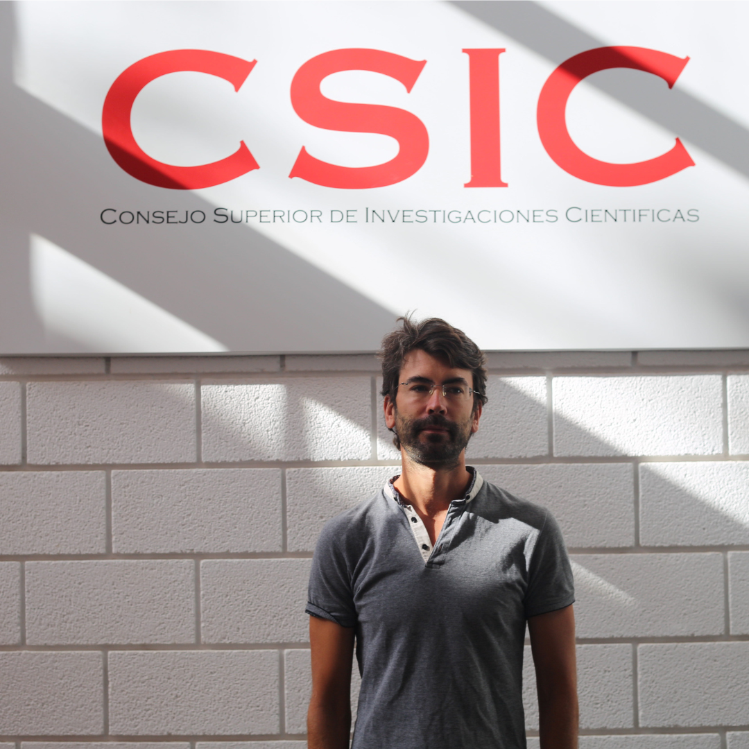 Pablo Alonso González (IPNA-CSIC)