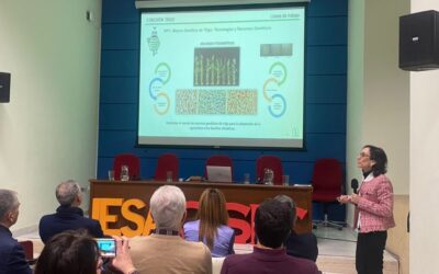 El IRNASA-CSIC de Salamanca coordinará una red de investigación sobre trigo