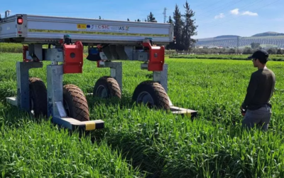 Conexión ‘Trigo’ para el futuro, un reportaje del Diario Córdoba