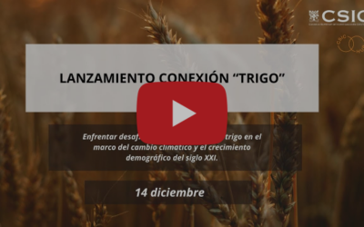 Acto de Presentación de la Conexión CSIC