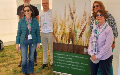 Científicos de Trigo CSIC participan en las IX Jornadas de GENVCE