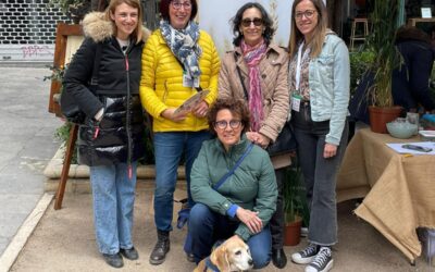 El mercado de las flores vuelve a las calles de Salamanca con los polinizadores como protagonistas