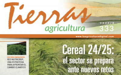 El CSIC promueve la ‘Conexión trigo’ para impulsar la investigación científica y técnica en torno a un cultivo estratégico en España